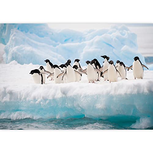 Wall26 - Adelie Penguins Colony On The Iceberg Antarctica - Removable Wall Mural | Self-Adhesive Large Wallpaper - 66X96 Inches #TOP1