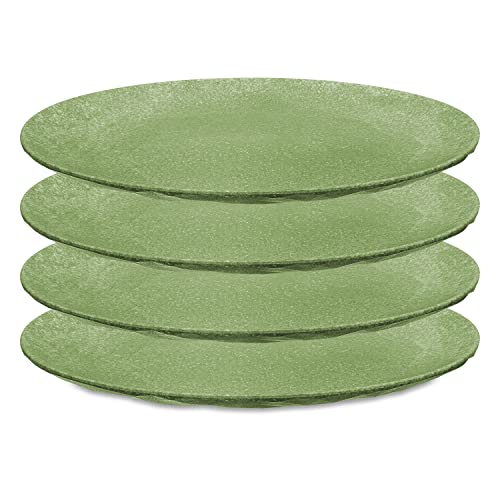 CLUB PLATE L Flacher Teller 4er Set nature leaf green