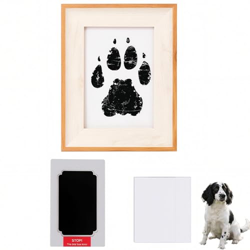 Lifetips CObVEXvK[EXpjG ybgp  X^v Lbg ^  ``X^v `쐬Lbg LO  Ȃ `    ` ^ ȒP S y Ճpbh IWi vg 