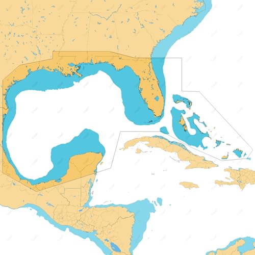 Image of C-MAP Reveal Coastal - Gulf of Mexico and The Bahamas, Map Card for Marine GPS Navigation | Shaded Relief, Hi-Res Bathymetry, Full Vector Charts, Microsd Card with Satellite Overlay for Gulf of Mexico and Bahamas