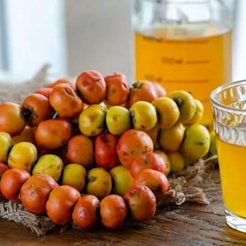 Naturyol Essig (500 ml, Weißdornessig)