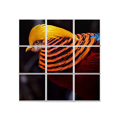 Crédence oiseau rare et faisan, carreaux céramique décoratif pour cuisine