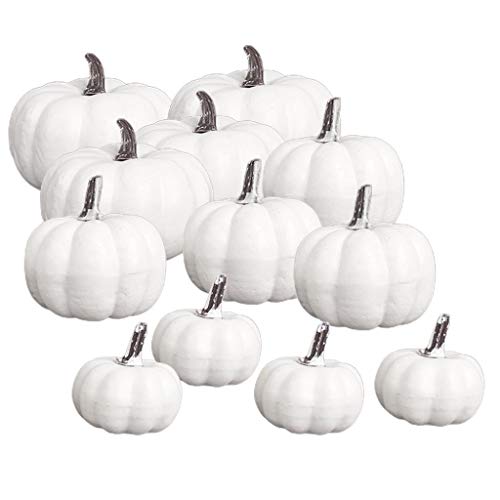 F Fityle 12X Weiße-Deko, Deko-Kürbisse, Halloween Speisekürbisse, Zierkürbisse- Dekokürbisse für Halloweendeko und Herbstdeko