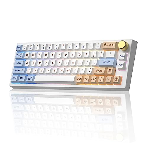 YUNZII VN66 Wireless Hot Swappable Mechanical Keyboard, 65% Layout Keyboard with Knob, Bluetooth/Wired/2.4GHz Wireless RGB Programmable Mechanical Keyboard for Mac/Win (Gateron Pro Yellow, Otter)