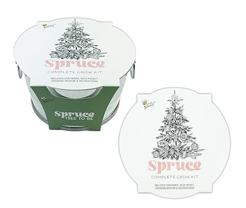 Buzzy Seeds Spruce Christmas Tree Grow Kit - Metal Mini Basin Planter - Complete Indoor/Outdoor Gardening Kit with Seeds Coconut Husk Growing Medium & Genuine Pots - 100% Grow Guarantee