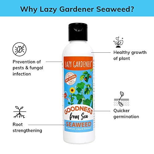 Image of Lazy Gardener Organic Seaweed Liquid Fertilizer Rapidgreen Bliss for Indoor Plants & Outdoor Plants, Flowering & Fruiting Promotes Plant Growth (200 Ml)