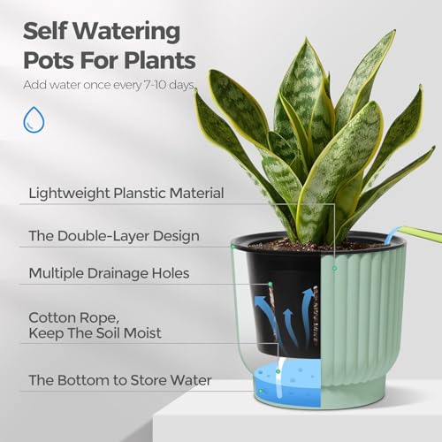 T4U 15cm Self Watering Plant Pots Indoor, 6 Pack Indoor Plant Pot, Green Plastic Flower Pots, House Plant Pots for Indoor Outdoor Plants, Succulent, Cactus, African Violets, Spider Plants - Cosy Home Interiors T4U 15cm Self Watering Plant Pots Indoor, 6 Pack Indoor Plant Pot, Green Plastic Flower Pots, House Plant Pots for Indoor Outdoor Plants, Succulent, Cactus, African Violets, Spider Plants - Image 5