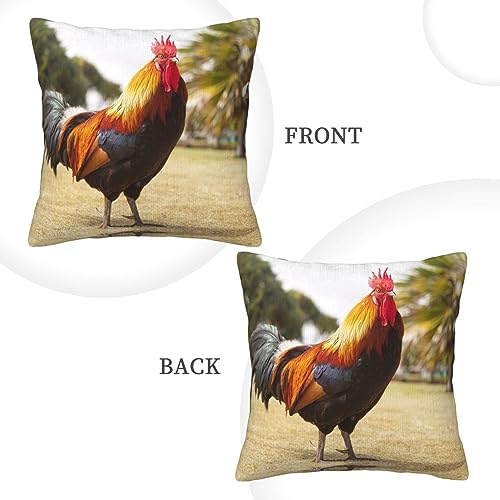 Housse de coussin en velours côtelé coq déco canapé - 4