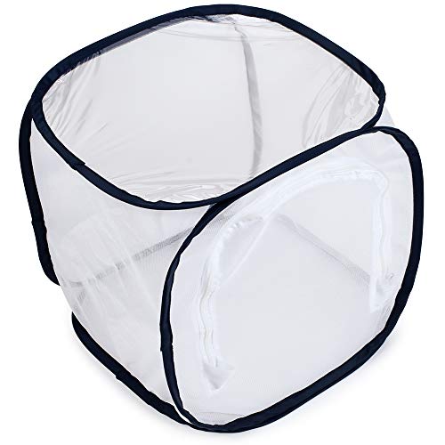Image of Insect and Butterfly Habitat Cage Terrarium Pop-up 12 X 12 X 12 Inches (Pack of 2)