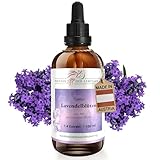 Phoenix der Lebenskraft