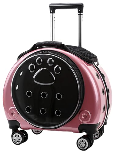 duwanlhridh ybgg[P[X ybgL[obO LpL[ J[g LL[bNԗ֕tybgLA L/p[[obNpbN LAobNpbNNA zC[t LpgxLA  ybgL[ 