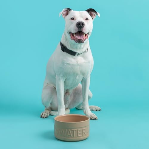Gamelle à eau pour chien idéale pour garder un sol propre en cuisine - 7