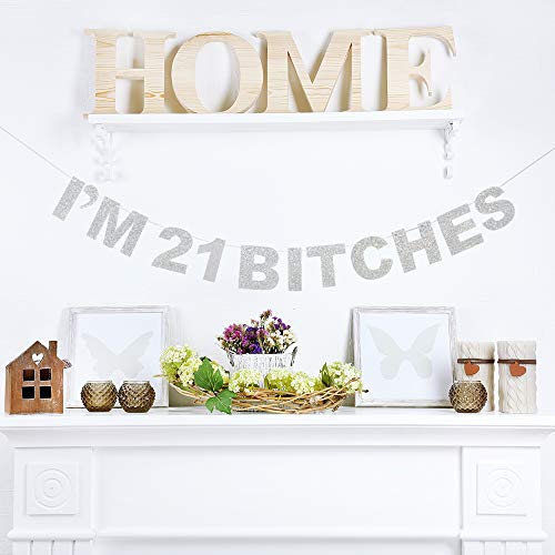 Lingteer I'm 21 Birthday Funny Silver Glitter Bunting Banner - Cheers To 21 Years Old 21St Birthday Party Photo Backdrop Decorations.[Pre-Strung] #TOP4
