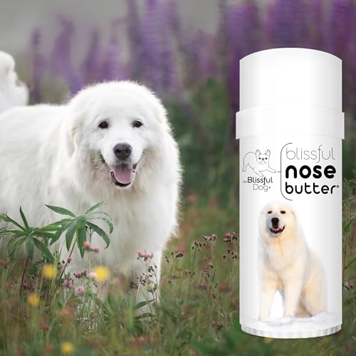 Image of The Blissful Dog Great Pyrenees Unscented Nose Butter