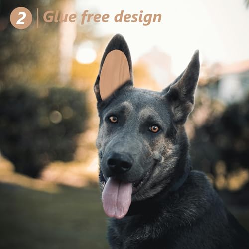 WOONEKY 1 Paar Ohrpflaster Für Haustiere Für Hundeohren Für Hundeohren Aufkleber Für Ohren Zum Aufstehen Klebeband,Welpen Ohr Werkzeug,Ohrfeste Korrektur Vertikalhalterung