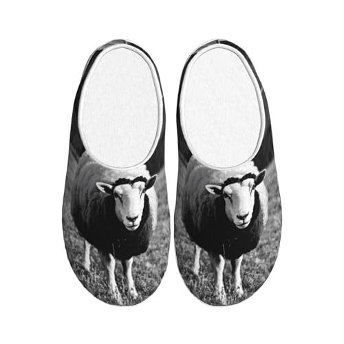 Chaussons en peluche EdWal un cadeau chaud pour homme et femme