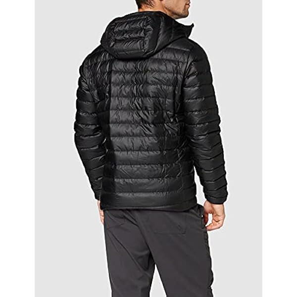 Patagonia Heren Down Sweater Hoody