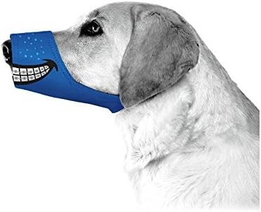 cesar millan dog muzzle