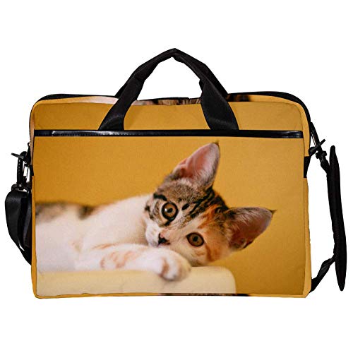 Sacoche 14-15.4" Calico Cat : protégez votre ordinateur
