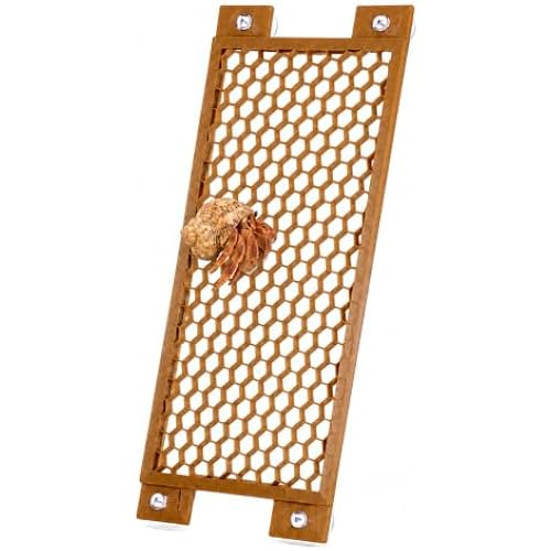 Hermit Crab Climbing Toys, Reptile Habitat Decor