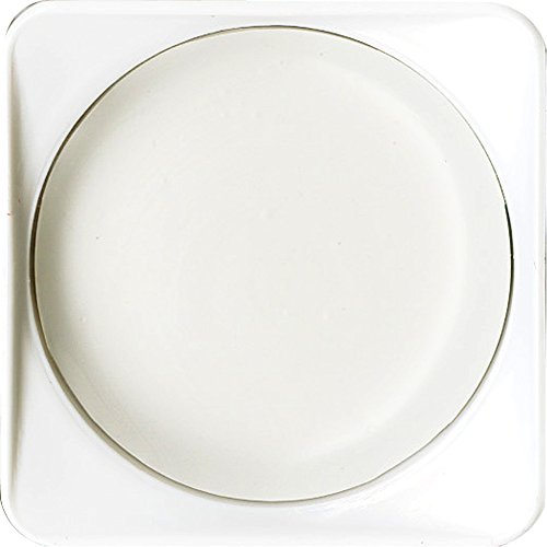 呉竹 顔彩深美 №10 白 MC3-10