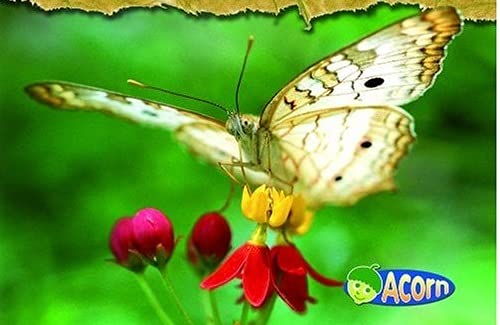 Caring For Nature (Help The Environment) #TOP2