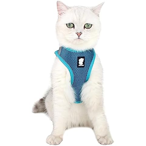 Harnais Chat LIANZIMAU M Cover