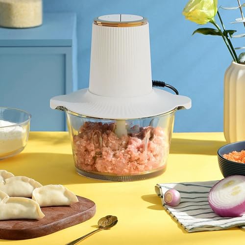 ZOLPINL Picadora de Carne doméstica de 300 W, eléctrica de Gran Capacidad con Recipiente de Vidrio y 2 velocidades, Multifuncional y fácil de Limpiar para Carne, Verduras y Frutas.
