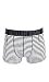 G-Star Men's Fg Stripe Sport Trunk In Light Stretch Jersey