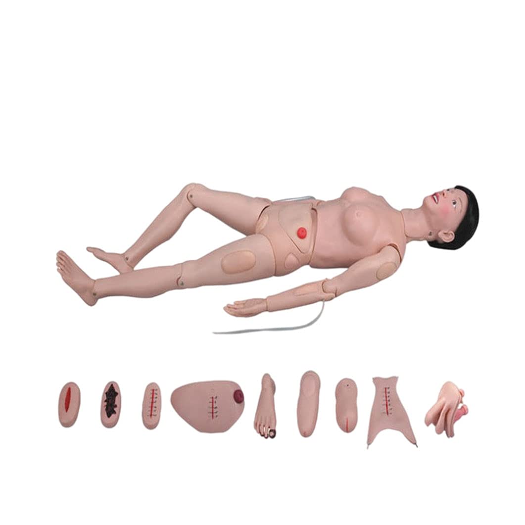 Mannequin de Soins aux Patients Fonctionnel, Mannequin Humain de démonstration Grandeur Nature de 66,92 Pouces, pour la Formation médicale infirmière, l'enseignement, l'éduca,Female