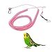 Levemolo Parrot Training Rope Kit Bite Bird Leash for Flying Training Random Color for Agapornis Fischeri and Other Small Birds