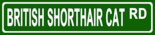 Makoroni - British Shorthair CAT Cats Pets Aluminum Metal 4x18 inc. Decorative Street and Room Sign
