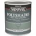 Minwax Polyshades Semi-Transparent Gloss Vintage Blue Stain/Polyurethane Finish 1 qt