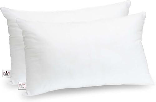 Trendy Home - Relleno de almohada de 12 x 18 pulgadas, hipoalergénico, soporte lumbar decorativo para el hogar y exteriores (no tejido, paquete de 2)