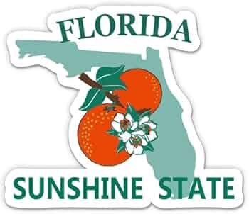 Amazon.com: Florida Sunshine State License Plate Style - 3