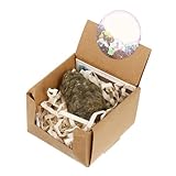 Collection de pierres naturelles : le minerai naturel peut être utilisé comme pendentifs, bracelets, colliers et autres ornements, pierres naturelles