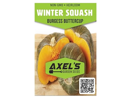 Winter Squash Seeds for Planting – Plant & Grow Burgess Buttercup Squash – Instructions to Plant Non GMO Heirloom Home Outdoor Vegetable Garden – Great Gardening Gift, 1 Packet