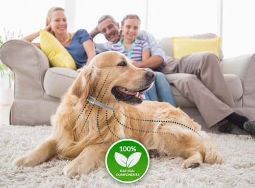 Vienapoli Abwehrhalsband für Hunde, für große, mittelgroße und kleine Hunde, mit verstellbarem Design, auch für Welpen ab 6 Wochen geeignet