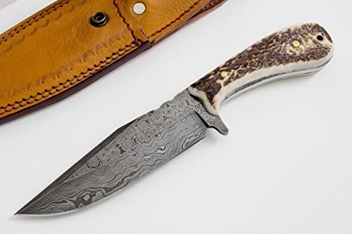 Buck n Bear Custom Handmade Damascus Fixed Blade Stag Hunting Knife (Stag Handle)