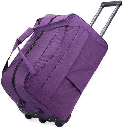 [Biizhe] {XgL[ L[obO @ e LX^[t X[cP[X  L[P[X 2 h h y ϏՌ o ʊw s [΂(28x30x47cm,p[v) [sAi]