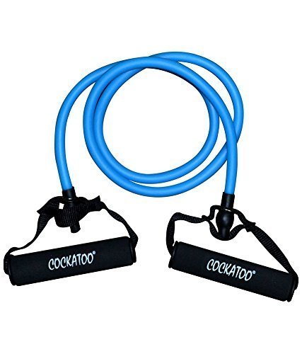 Cockatoo Professional Toning Tube;Exercise Tube; Toning Tube;Fitness Band (Medium) (B01M32WZ58) Amazon Price History, Amazon Price Tracker