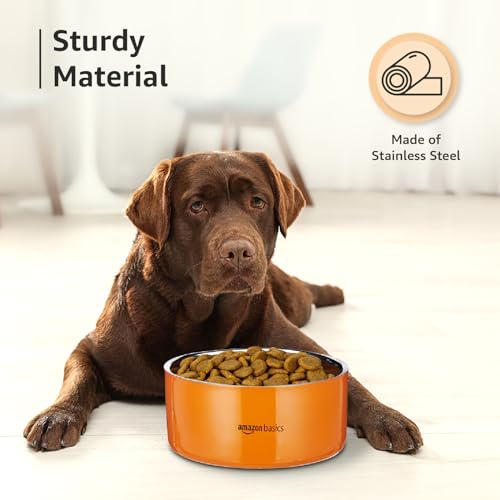Image of Amazon Basics Quintessential Double-Walled Stainless Steel Premium Pet Bowl | 1900 Ml | Large | for Dogs, Cats, and Pets | Orange