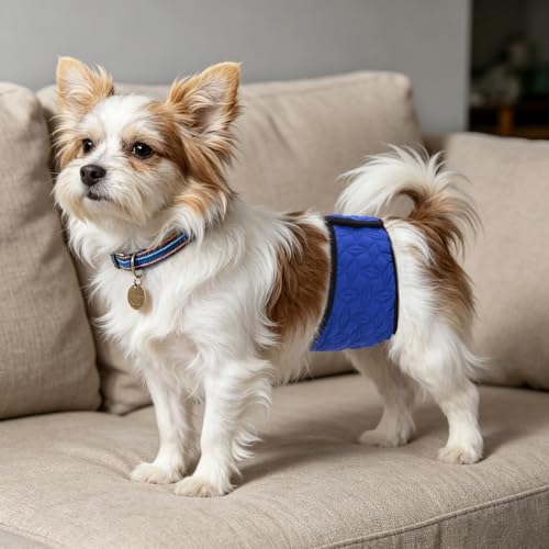Image of Mkono Male Dog Belly Band Wraps Washable Dog Diapers Male for Small and Medium Dogs, Waist 14.2 Inches to 20 Inches(3 Pack,Blue,Black,Gray)