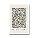 Vintage Fruits Fleurs Feuilles William Morris Exposition Affiche Plante Mur Art Photo Impression Sans Cadre Toile Peinture A4 50x75cm