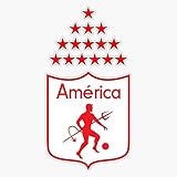 America De Cali Campeã²N Del Campeonato Colombiano 2020!!!!!! Sticker Bumper Sticker Vinyl Decal 5'