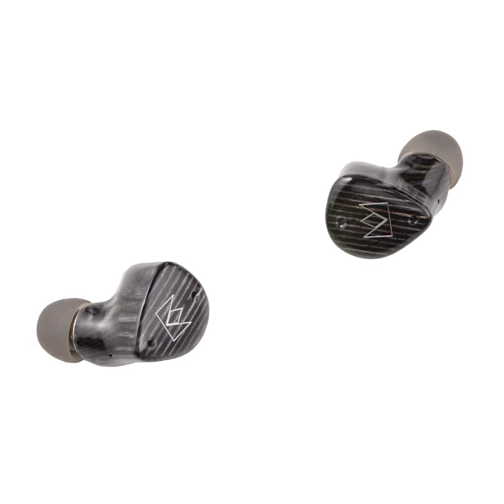 Amazon.co.jp: Noble Audio FoKus Prestige Encore Black【ANC搭載完全