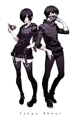 Wonderful Life A Japan Anime Poster - Tokyo Ghoul Kaneki Ken and Touka Kirishima - Tin Poster Tin Sign 12x8 inch