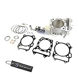 Cylinder Piston Gasket Kit Fits Suzuki LTZ400 DRZ400 (2003-2014)
