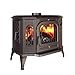Imagen de estufa de leña independiente de hierro fundido negro