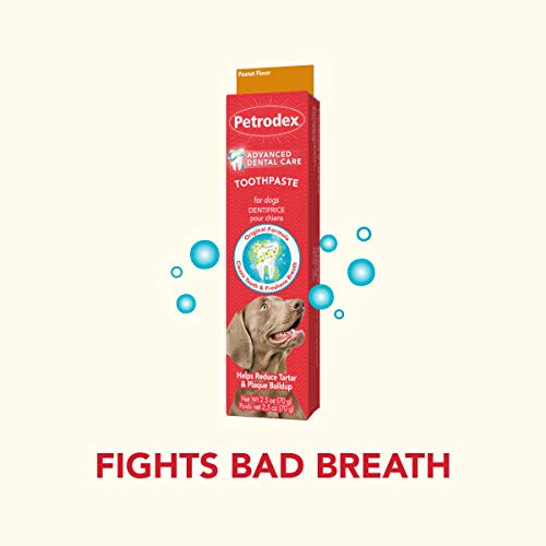 Petrodex Natural Toothpaste Dog - Peanut - 2.5 Oz - Image 5